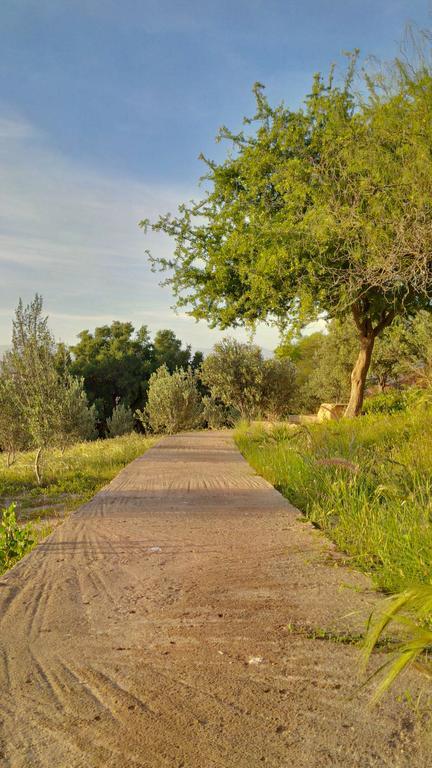 Villa Du Souss Agadir Ngoại thất bức ảnh